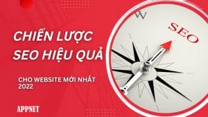 Chiến lược SEO Hiệu quả cho website mới nhất 2022
