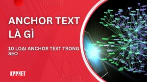 Anchor Text là gì 10 Loại Anchor Text trong SEO