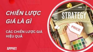 Chiến lược giá là gì? Các chiến lược giá hiệu quả